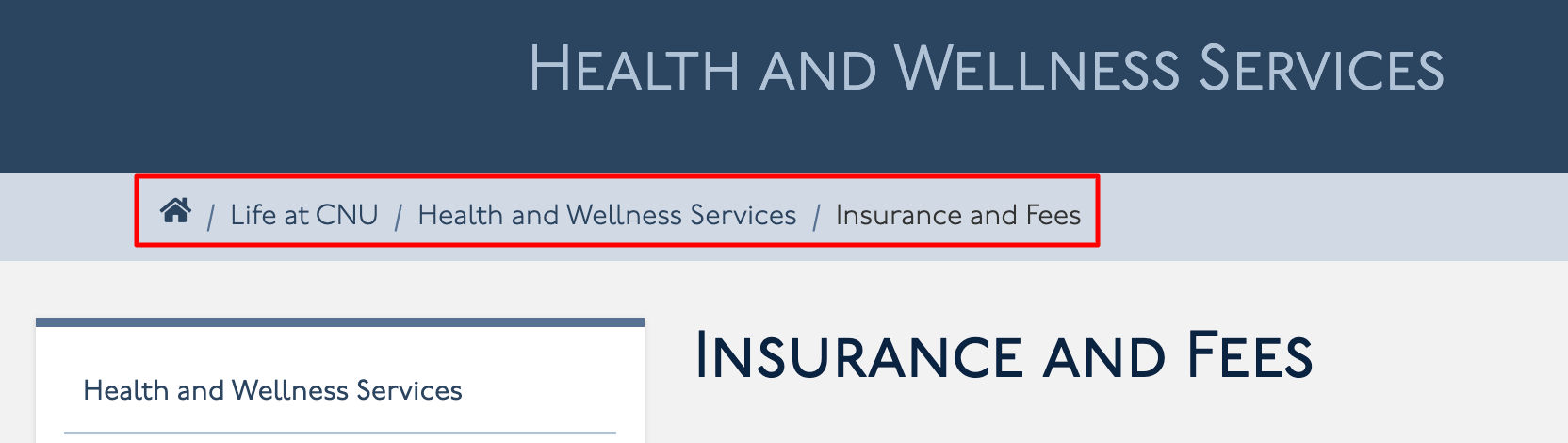 Pagination on a page from the Health and Wellness website on Christopher Newport University's website. The pagination is the page names. It reads, from left to right, Life at CNU, Health and Wellness Services, Insurance and Fees.