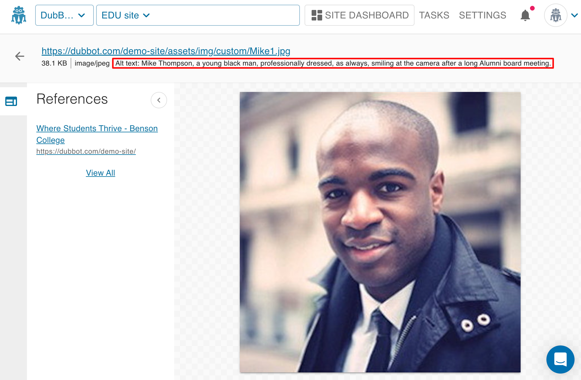 The Image Detail Page in DubBot. This is where you will find the image preview, image URL, file size, file type, ALT text and references information.